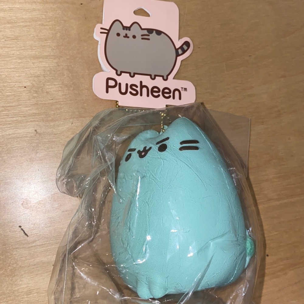 Pusheen Squishy